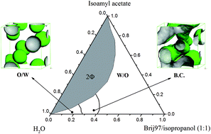 Graphical abstract: MesoDyn prediction of a pharmaceutical microemulsion self-assembly consistent with experimental measurements