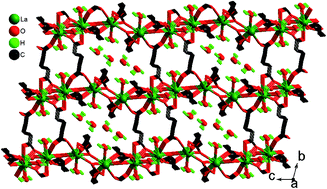 Graphical abstract: A series of lanthanide glutarates: lanthanide contraction effect on crystal frameworks of lanthanide glutarates