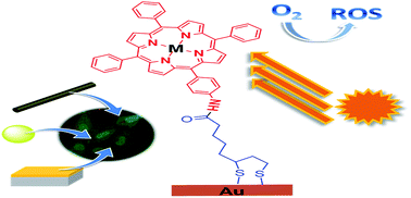 Graphical abstract: Nanostructured materials for photodynamic therapy: synthesis, characterization and in vitro activity