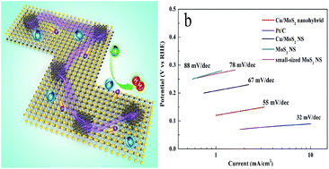 Graphical abstract: A facile one-step fabrication of a novel Cu/MoS2 nano-assembled structure for enhanced hydrogen evolution reaction performance