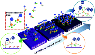 Graphical abstract: Enzyme immobilization on metal oxide semiconductors exploiting amine functionalized layer