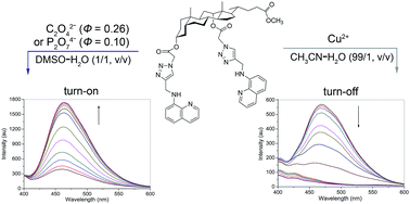 Graphical abstract: A novel and simple solvent-dependent fluorescent probe based on a click generated 8-aminoquinoline–steroid conjugate for multi-detection of Cu(ii), oxalate and pyrophosphate