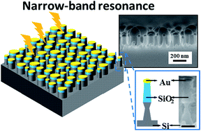 Graphical abstract: Narrow band resonance in the UV light region of a plasmonic nanotextured surface used as a refractive index sensor