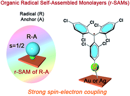 Graphical abstract: Direct covalent grafting of an organic radical core on gold and silver