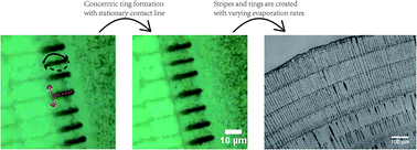 Graphical abstract: Evaporation controlled particle patterns in a polymer droplet