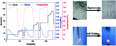 Graphical abstract: Multifunctional polyurethane-vitrimers completely based on transcarbamoylation of carbamates: thermally-induced dual-shape memory effect and self-welding