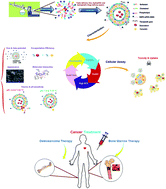 Graphical abstract: Co-delivery of hydrophilic and hydrophobic anticancer drugs using biocompatible pH-sensitive lipid-based nano-carriers for multidrug-resistant cancers