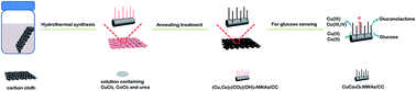 Graphical abstract: CuCo2O4 nanowire arrays supported on carbon cloth as an efficient 3D binder-free electrode for non-enzymatic glucose sensing