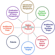 Graphical abstract: Two decades of antifilarial drug discovery: a review