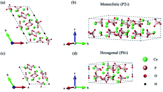 Graphical abstract: Ferroelectric polarization of hydroxyapatite from density functional theory