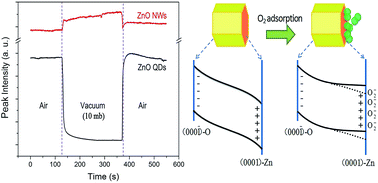 Graphical abstract: Abnormal gas pressure sensitivity of the visible emission in ZnO quantum dots prepared by improved sol–gel method: the role of surface polarity