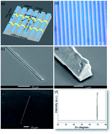 Graphical abstract: Photoluminescence and lasing characteristics of single nonpolar GaN microwires