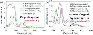 Graphical abstract: The positive effect of water on photo-induced step transfer-addition & radical-termination (START) polymerization