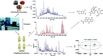 Graphical abstract: Technological advances in current metabolomics and its application in tradition Chinese medicine