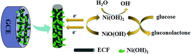 Graphical abstract: Preparation of Ni(OH)2 nanoplatelet/electrospun carbon nanofiber hybrids for highly sensitive nonenzymatic glucose sensors