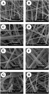 Graphical abstract: Electrospun poly-ε-caprolactone scaffold modified with catalytic nitric oxide generation and heparin for small-diameter vascular graft