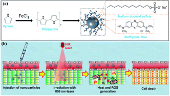 Graphical abstract: Polypyrrole–methylene blue nanoparticles as a single multifunctional nanoplatform for near-infrared photo-induced therapy and photoacoustic imaging