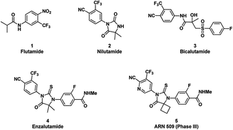 Graphical abstract: Novel thiohydantoin analogues bearing the 1-hydroxyl-2,2,2-trifluoro-1-ethyl moiety as androgen receptor inhibitors for the potential treatment of castration resistant prostate cancer