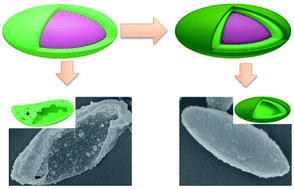 Graphical abstract: Anisotropic polydopamine capsules with an ellipsoidal shape that can tolerate harsh conditions: efficient adsorbents for organic dyes and precursors for ellipsoidal hollow carbon particles