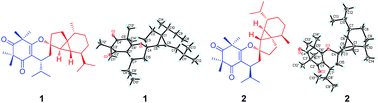 Graphical abstract: Myrtucomvalones A–C, three unusual triketone–sesquiterpene adducts from the leaves of Myrtus communis ‘Variegata’