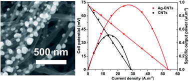 Graphical abstract: Directly grown carbon nanotube based hybrid electrodes with enhanced thermo-cell performances