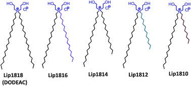 Graphical abstract: Scaling the effect of hydrophobic chain length on gene transfer properties of di-alkyl, di-hydroxy ethylammonium chloride based cationic amphiphiles
