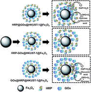 Graphical abstract: Magnetic metal–organic frameworks as scaffolds for spatial co-location and positional assembly of multi-enzyme systems enabling enhanced cascade biocatalysis