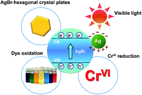 Graphical abstract: Hexagonal AgBr crystal plates for efficient photocatalysis through two methods of degradation: methyl orange oxidation and CrVI reduction