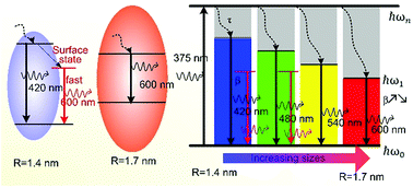 Graphical abstract: Electron transition pathways of graphene oxide quantum dots unraveled by emission wavelength dependent photoluminescence lifetime
