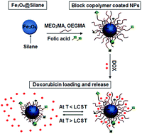 Graphical abstract: Functional responsive superparamagnetic core/shell nanoparticles and their drug release properties