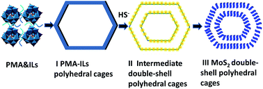 Graphical abstract: Ionic liquid assisted hydrothermal synthesis of MoS2 double-shell polyhedral cages with enhanced catalytic hydrogenation activities