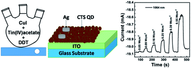 Graphical abstract: Heat-up synthesis of Cu2SnS3 quantum dots for near infrared photodetection