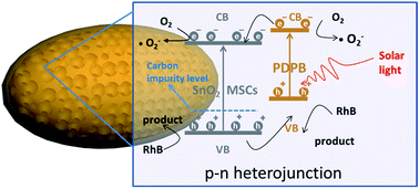 Graphical abstract: In situ strategy to prepare PDPB/SnO2 p–n heterojunction with a high photocatalytic activity