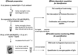 Graphical abstract: Identification and quantification of immunoglobulin G (G1, G2, G3 and G4) in human blood plasma by high-resolution quadrupole-Orbitrap mass spectrometry