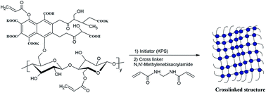 Graphical abstract: Potassium fulvate-functionalized graft copolymer of polyacrylic acid from cellulose as a promising selective chelating sorbent