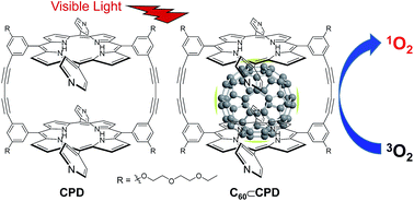 Graphical abstract: Singlet oxygen generation properties of an inclusion complex of cyclic free-base porphyrin dimer and fullerene C60