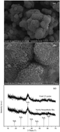 Graphical abstract: Heterogeneous Fenton-like degradation of phenanthrene catalyzed by schwertmannite biosynthesized using Acidithiobacillus ferrooxidans