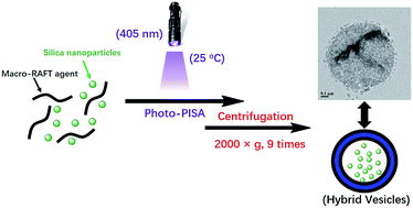 Graphical abstract: Facile preparation of hybrid vesicles loaded with silica nanoparticles via aqueous photoinitiated polymerization-induced self-assembly