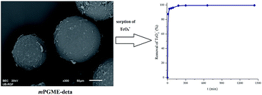 Graphical abstract: A novel macroporous polymer–inorganic nanocomposite as a sorbent for pertechnetate ions