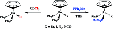 Graphical abstract: Kinetics of phosphine substitution in CpRu(PPh3)2X (X = Cl, Br, I, N3, and NCO)