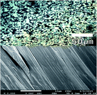 Graphical abstract: A facile synthetic route to novel thermotropic liquid crystalline polymers and characterization of their mesophases