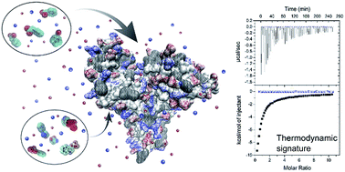 Graphical abstract: Interaction of human serum albumin with uremic toxins: a thermodynamic study