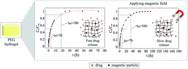 Graphical abstract: Synthesis and drug release profile of a dual-responsive poly(ethylene glycol) hydrogel nanocomposite