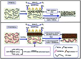 Graphical abstract: Functional group effect on flame retardancy, thermal, and mechanical properties of organophosphorus-based magnesium oxysulfate whiskers as a flame retardant in polypropylene