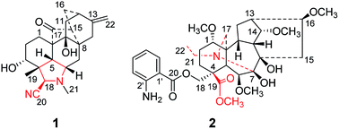 Graphical abstract: Grandiflodines A and B, two novel diterpenoid alkaloids from Delphinium grandiflorum