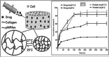 Graphical abstract: Intelligent ECM mimetic injectable scaffolds based on functional collagen building blocks for tissue engineering and biomedical applications