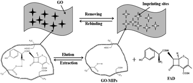 Graphical abstract: A graphene oxide surface–molecularly imprinted polymer as a dispersive solid-phase extraction adsorbent for the determination of cefadroxil in water samples