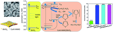 Graphical abstract: Synthesis of four-angle star-like CoAl-MMO/BiVO4 p–n heterojunction and its application in photocatalytic desulfurization