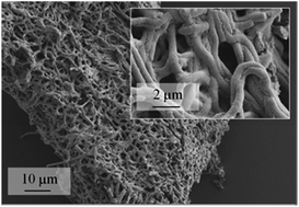 Graphical abstract: Electrospinning of CeO2 nanoparticle dispersions into mesoporous fibers: on the interplay of stability and activity in the HCl oxidation reaction