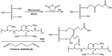 Graphical abstract: The removal of heavy metal ions from aqueous solutions by amine functionalized cellulose pretreated with microwave-H2O2